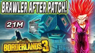 BRAWLER WARD AFTER PATCH! Infinite Damage Brawler Ward Glitch After Patch| GOD Moze Borderlands 3!