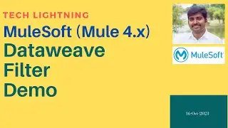 MuleSoft Dataweave Filter Demo | Dataweave 2.0 | Map Function | Query Params | HTTP Request
