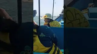 Dolphin ride, Goa