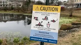 Retention Ponds and Habitat Depletion