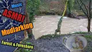 Mudlarking the Forest and Foreshore (ASMR + Music)