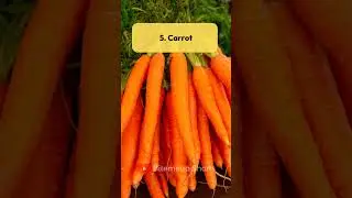 10 Best Foods to Eat Raw #rawfoods