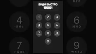 ВИДИ БЫСТРО 19001