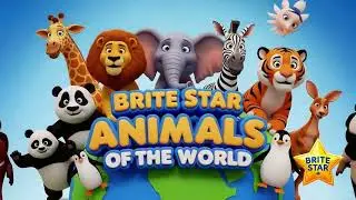 Brite Star Petting Zoo-Animals of the World-World Map Wrap-Up
