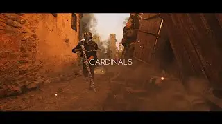 Valkyrie Array: Grave & Stax - Cardinals - Vanguard Dualtage  [BW]