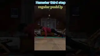 Handstand push-up step 3 &ndash; regular push up  (Beginner Guide)