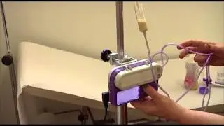 Aspetti etici della nutrizione artificiale
