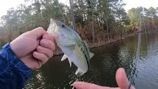 Popping them on the Popper