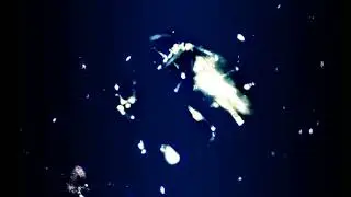 BOOSTING NATURAL KILLER CELL LEVELS | MAGNETO-DIELECTRIC (SCALAR) FIELDS