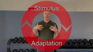 What Is A Fundamental Approach to Fitness?