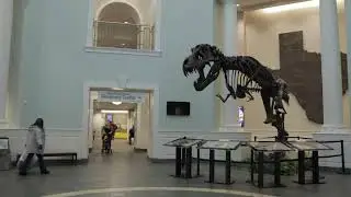 Mayborn Museum