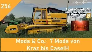 LS19 Mods & Co.  #256  7 Mods von Kraz bis CaseIH mit Link Liste