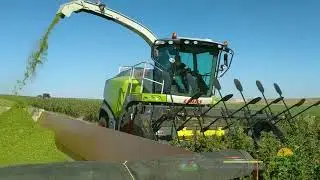 SuperCrop&reg; LP: Cleaner Hemp Harvests Start at the Cut