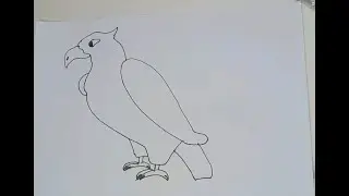 Easy Eagle Drawing