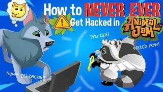 How To NEVER EVER Get HACKED in Animal Jam | Bandits Animal Jam