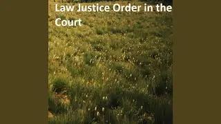 Law Justice Order in the Court