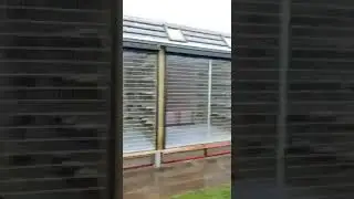 pipa elite center, new breeding loft #paloma #pigeons #pigeonsport #pigeonfancier #pipa