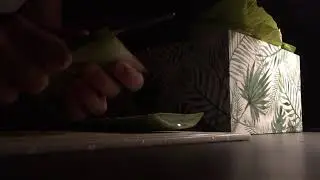 PREPARAZIONE ALOE LA PERLA NERA