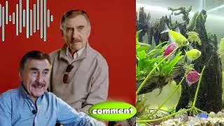«Каждый подозреваемый говорил правду, и это было самым страшным»