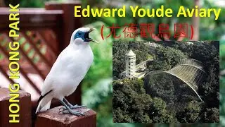 Hong Kong Park - Edward Youde Aviary (Birds Collection)