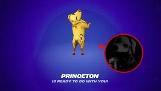 Flopnite Princeton (R.I.P Yesking 💔)