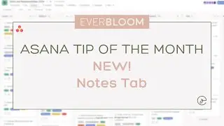 NEW! How to Navigate the Notes Tab in Asana