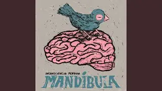 Pájaro Azul
