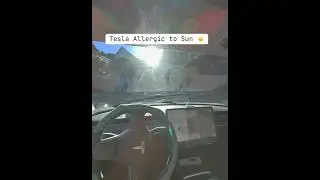 Tesla Hates Sun Fr ☀️ #tesla #fsd #sun #teslacam #teslamodel3 #shorts