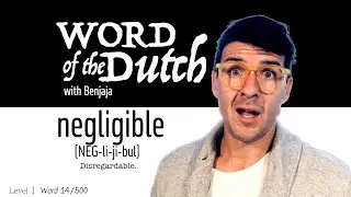 negligible (NEG-li-ji-bul) | Word of the Dutch with Benjaja 14/500