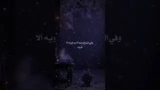 ١١ يناير ٢٠٢٦