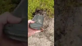 Lost purse full of money