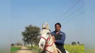 Billu mundh gangstar