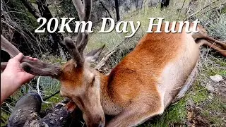 Summer Deer Hunt With my Sister New Zealand | 13hrs on the feet