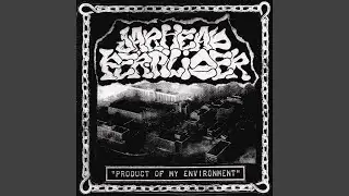 Product of My Environment