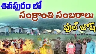 Sankranthi Festival in my village Sivapuram #Sivapuram #vayalpad  #sankranthi2026