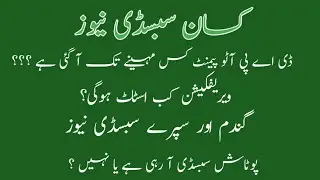 All subsidy information news