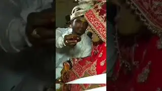 shadi #ka #laddu