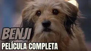 BENJI 🐶✨ | Pel&iacute;cula de Comedia Familiar en Espa&ntilde;ol 🎬 | HD Completa