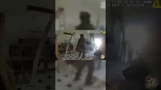 A Florida SWAT team had an arrest fall right into their lap from a barricaded suspect
