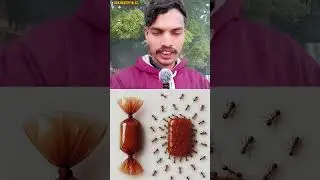 अपने बारे में किसी को ज्यादामत बताओ 🙏#viralvideo #motivation #shorts