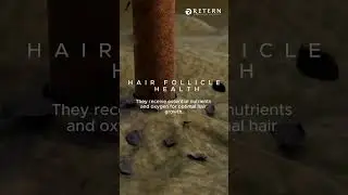Healthy Hair Starts with a Healthy Scalp! Did you know your scalps health plays a huge role.