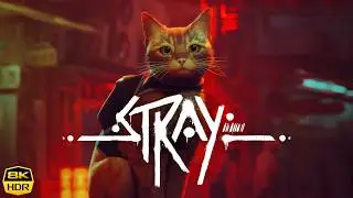 Stray &bull; Wandering through Midtown | 8K 60FPS HDR 🇵🇱