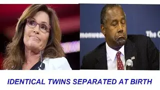 Ben Carson Does His Best Sarah Palin Impression