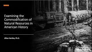 Examining the Commodification of Natural Resources in American History