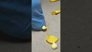 Satisfying cyst explosion