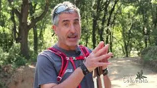 Descobrim Collserola 