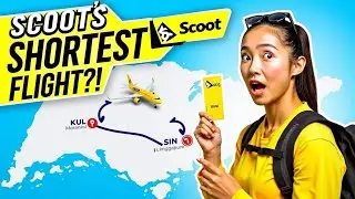 The Disastrous Scoot Airlines Flight Experience