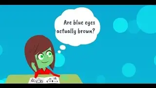 Are blue eyes actually brown? What determines eye colour?