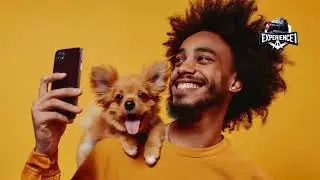 Pet Travel Hacks: Make Trips Fun and Easy for You and Your Pet