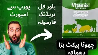 Imported Breeding Formula | یورپ سے امپورٹ شدہ | انڈوں بچوں کی پیداوار میں اضافہ | 